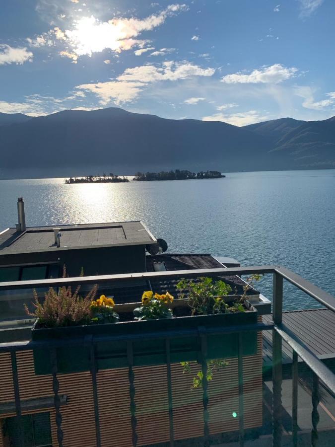 Appartamenti Ramarro Ronco sopra Ascona Exteriör bild